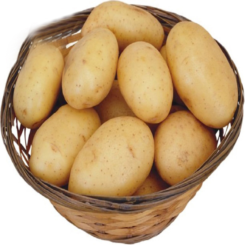 2021 New Season Fresh Potato