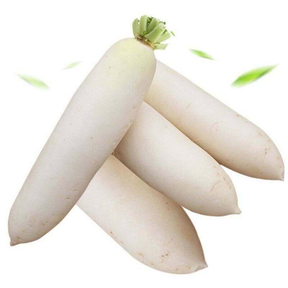 Original Fresh White Radish