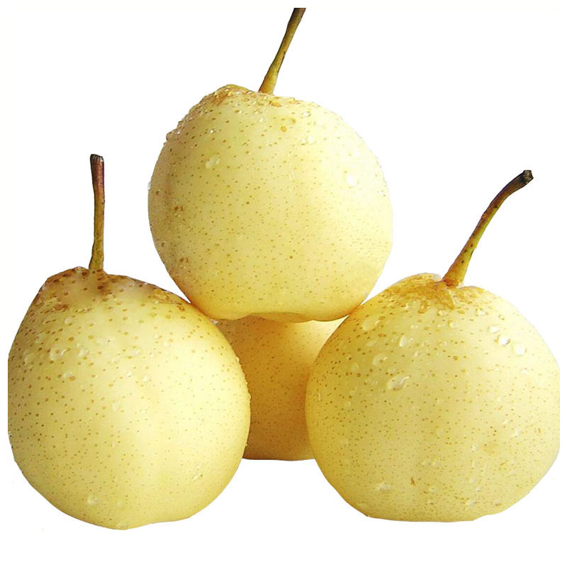 Star Sweet And Juicy Ya Pear