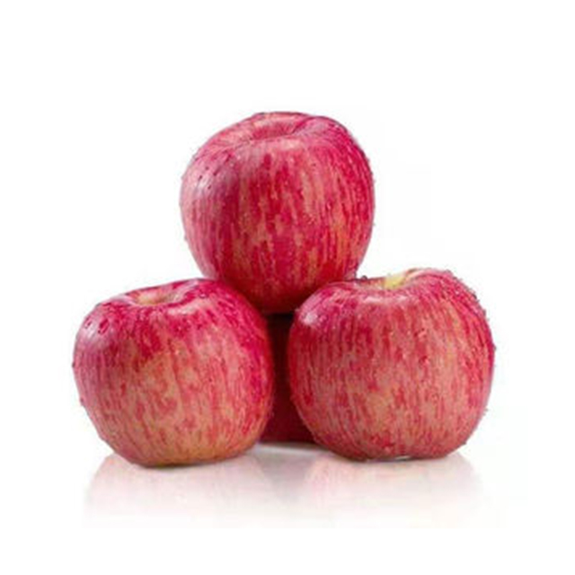 Fresh FUJI Apple Red Star Apple For Wholesale