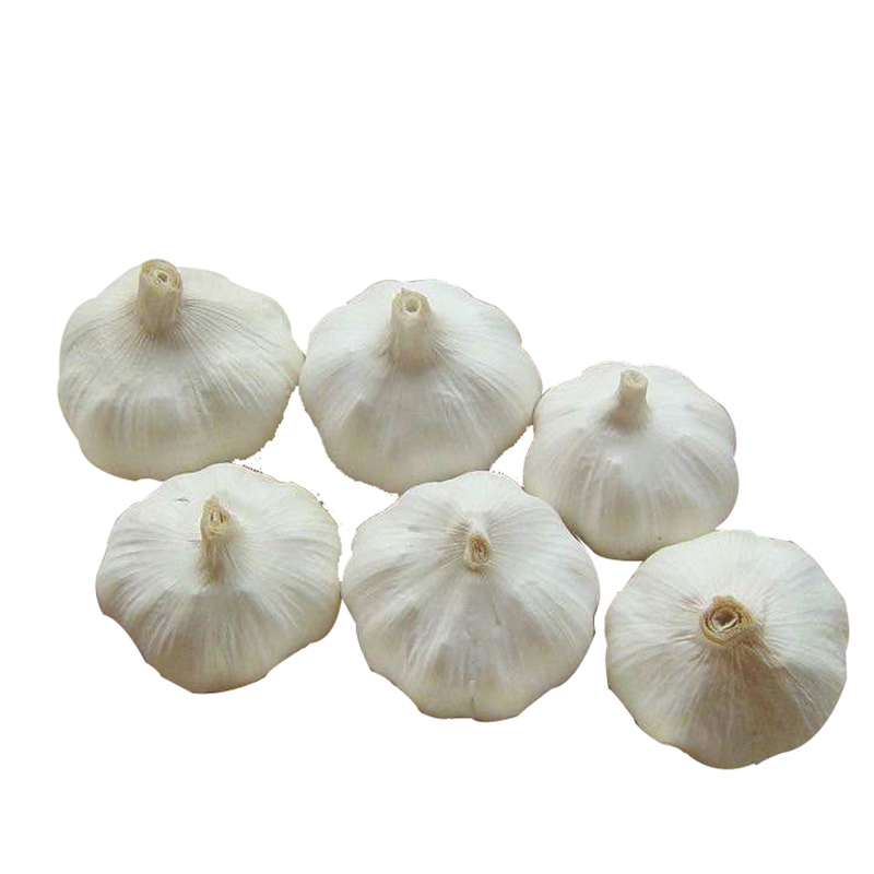 6P Mesh Bag of Pure White Garlic