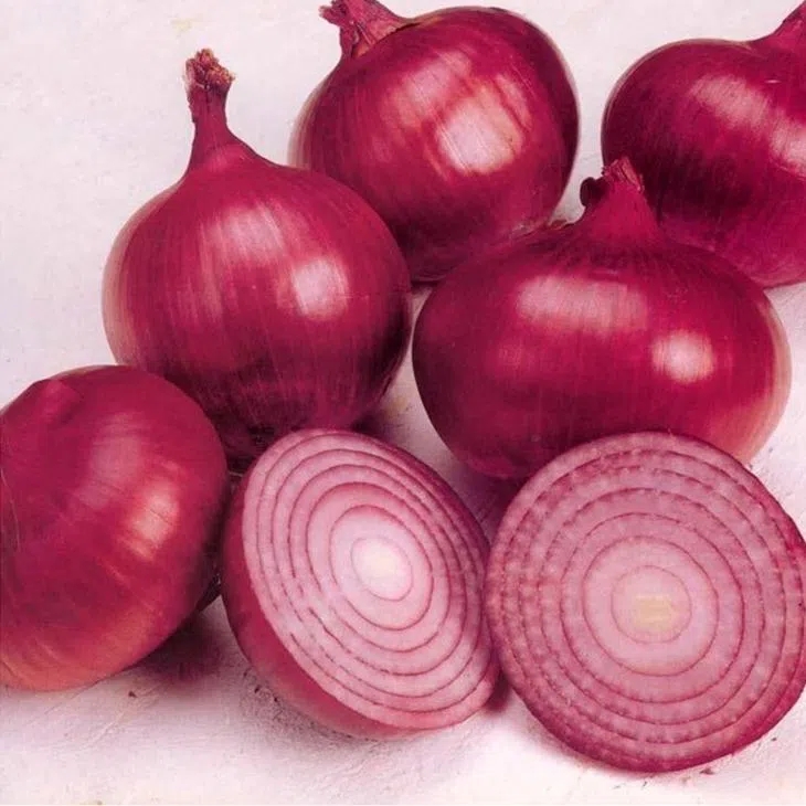 Fresh Red Onion On Hotsell