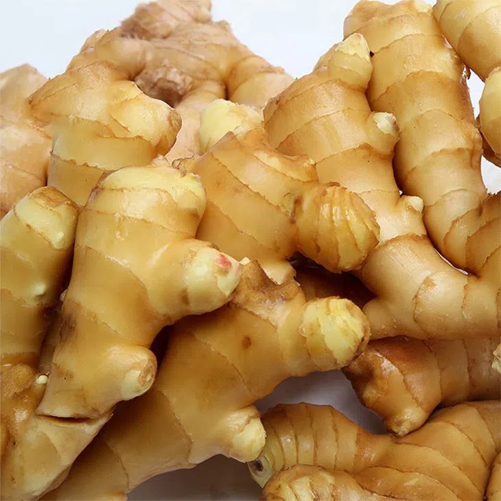 Organic Fresh Ginger For Export