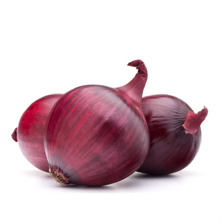 Red Onion Fresh In Bulk With Best Price