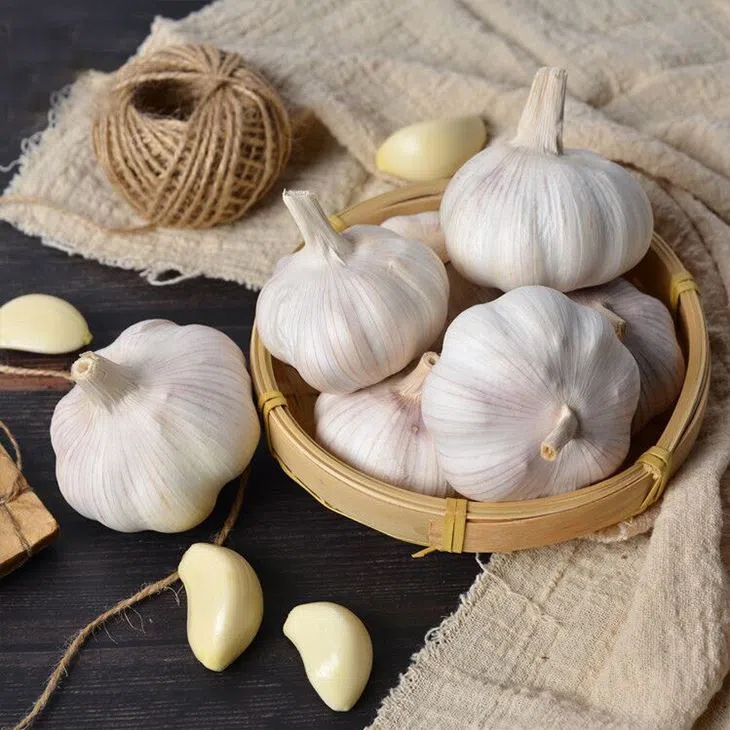 Peeled 4.5cm 5.0cm 5.5cm 6.0cm Fresh White Garlic With Best Price