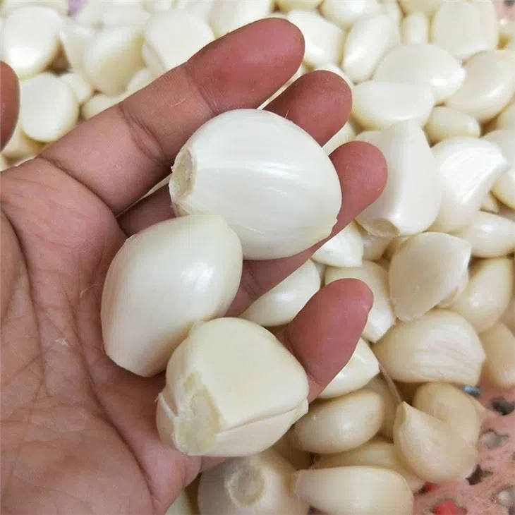 100% Fresh Peeled Garlic