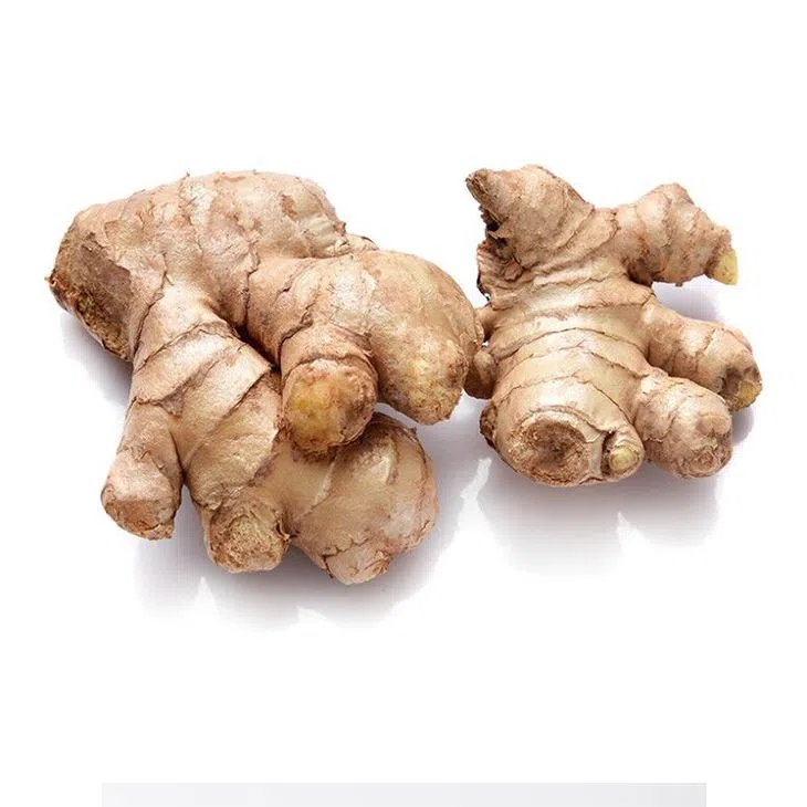 High Quality Fresh Ginger And Garlic supplier at walmart