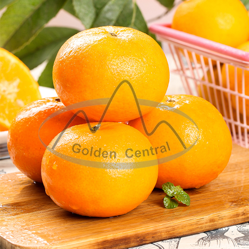 Exporting high-quality Chinese citrus as a new crop