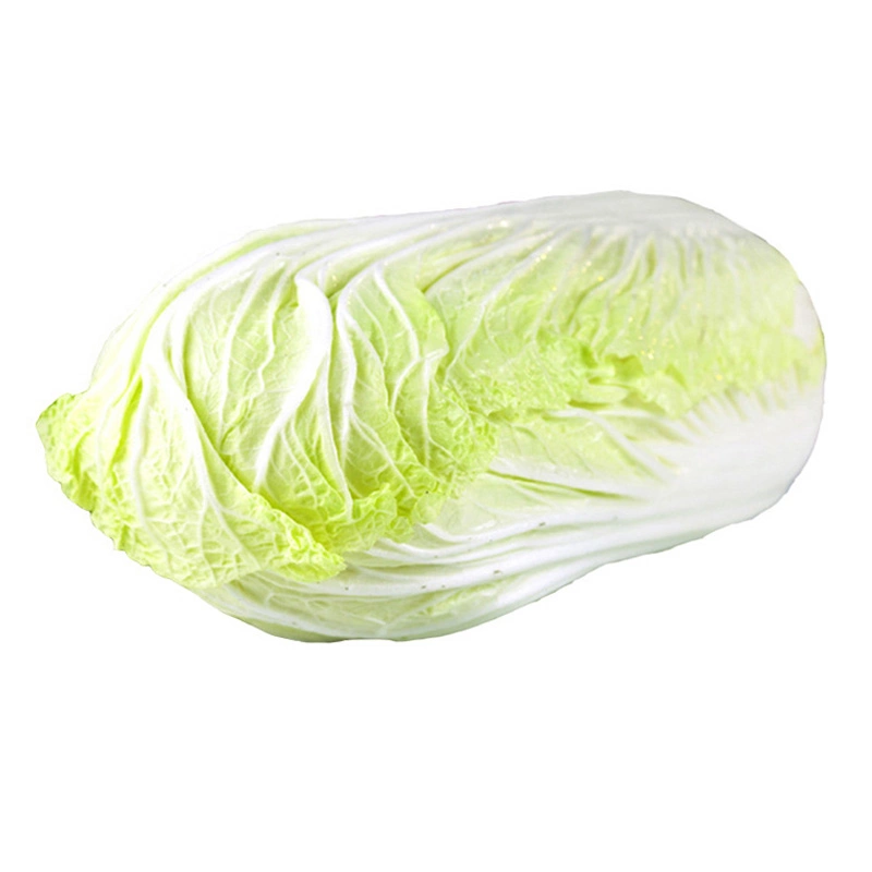 New Crop Fresh Chinese Celery Cabbage