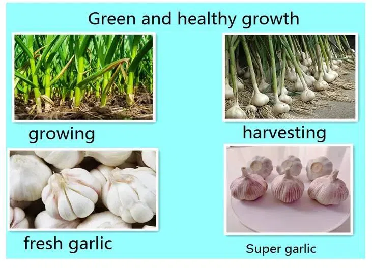 H3120b0fc7a5947318d57868999f2670cB.png_