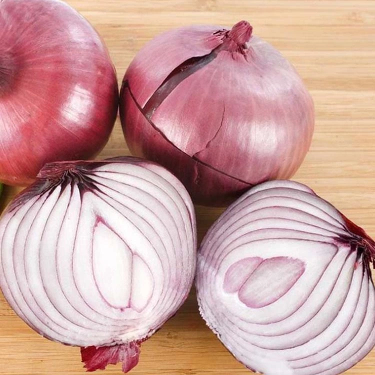 Red fresh onion manufacturer from China